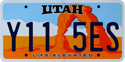 UT license plate Y115ES