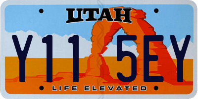 UT license plate Y115EY