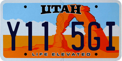 UT license plate Y115GI