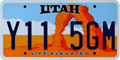 UT license plate Y115GM