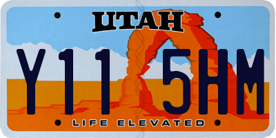 UT license plate Y115HM