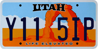 UT license plate Y115IP