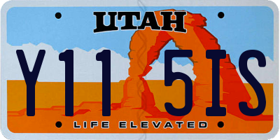 UT license plate Y115IS