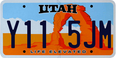 UT license plate Y115JM