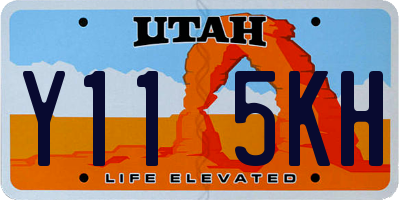 UT license plate Y115KH
