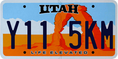 UT license plate Y115KM