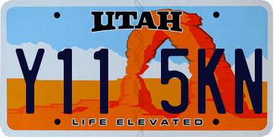 UT license plate Y115KN