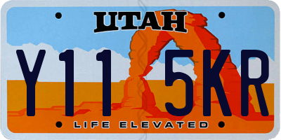 UT license plate Y115KR