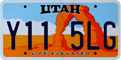 UT license plate Y115LG