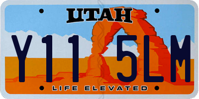 UT license plate Y115LM