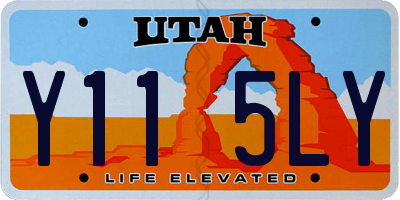 UT license plate Y115LY