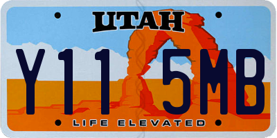 UT license plate Y115MB