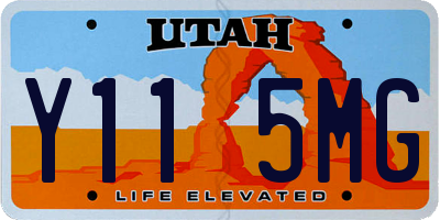 UT license plate Y115MG