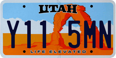 UT license plate Y115MN