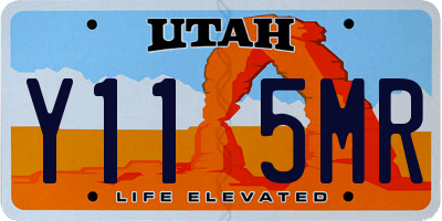 UT license plate Y115MR