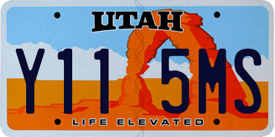 UT license plate Y115MS