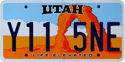 UT license plate Y115NE