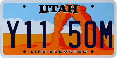 UT license plate Y115OM