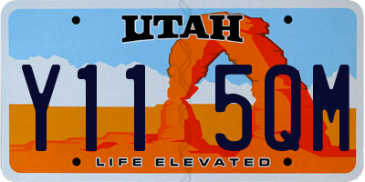 UT license plate Y115QM