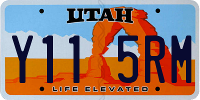 UT license plate Y115RM