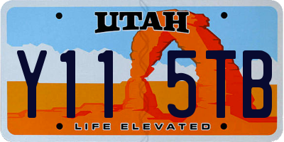 UT license plate Y115TB
