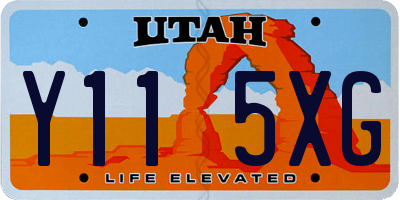 UT license plate Y115XG