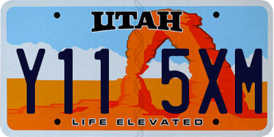 UT license plate Y115XM
