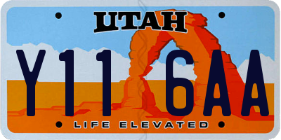 UT license plate Y116AA