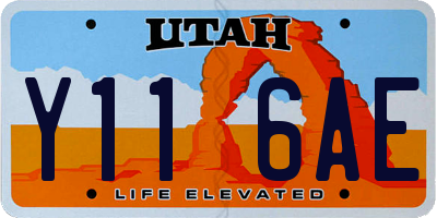UT license plate Y116AE