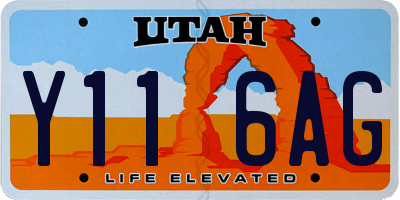 UT license plate Y116AG