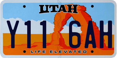 UT license plate Y116AH