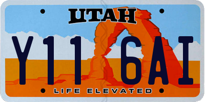 UT license plate Y116AI