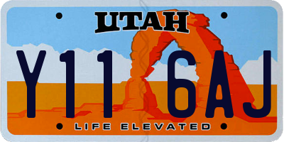 UT license plate Y116AJ