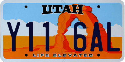 UT license plate Y116AL