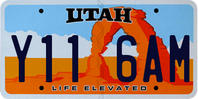 UT license plate Y116AM