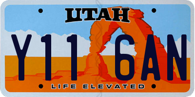 UT license plate Y116AN