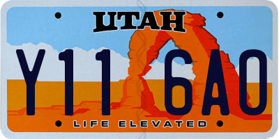 UT license plate Y116AO
