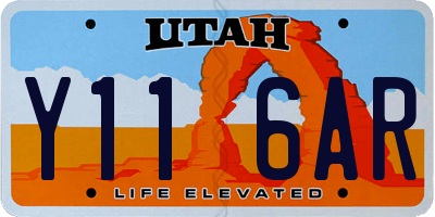 UT license plate Y116AR