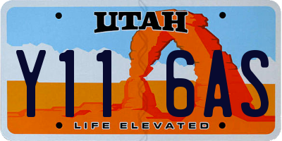 UT license plate Y116AS