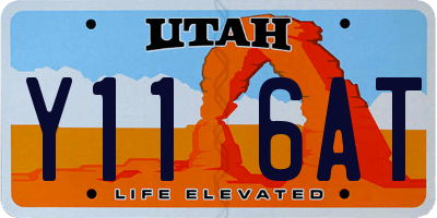 UT license plate Y116AT