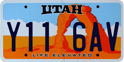 UT license plate Y116AV