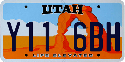 UT license plate Y116BH