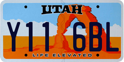 UT license plate Y116BL