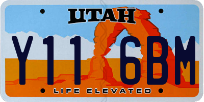 UT license plate Y116BM