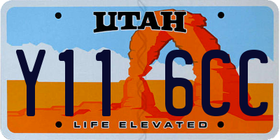 UT license plate Y116CC