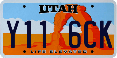 UT license plate Y116CK
