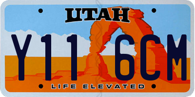 UT license plate Y116CM