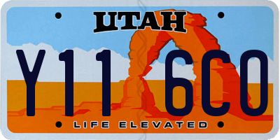 UT license plate Y116CO