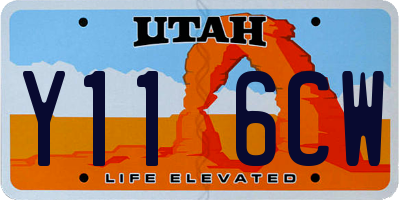UT license plate Y116CW
