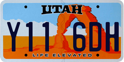 UT license plate Y116DH